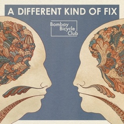 Bombay Bicycle Club A Different Kind Of Fix vinyl LP