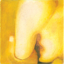 The Smashing Pumpkins Pisces Iscariot Vinyl 2 LP