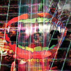 Animal Collective Centipede Hz Vinyl 2 LP