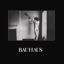 Bauhaus In The Flat Field remastered vinyl LP