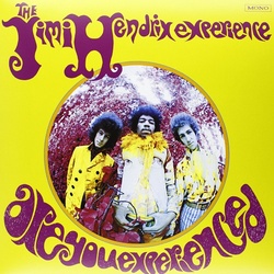 Jimi Hendrix Experience Are You Experienced MONO MOV 18GM BLACK VINYL LP US SLEEVE