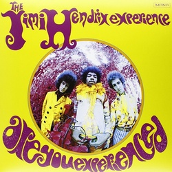 Jimi Hendrix Experience Are You Experienced rmstrd Mono 180gm vinyl LP US sleeve