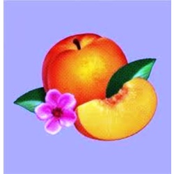 Phoenix Bankrupt! vinyl LP + download 