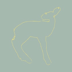 Songs Ohia Hecla & Griper Jason Molina 15th anny vinyl LP + download 