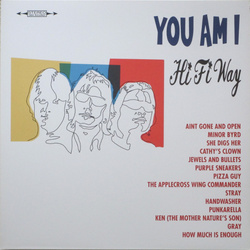 You Am I Hi Fi Way 2021 reissue vinyl LP gatefold