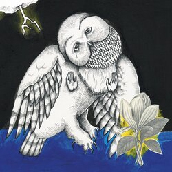 Songs Ohia Magnolia Electric Company Deluxe vinyl 2 LP Jason Molina