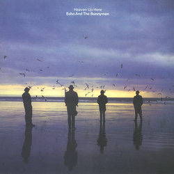 Echo & The Bunnymen Heaven Up Here reissue vinyl LP