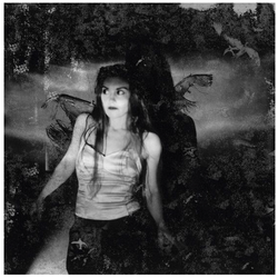 RSD2020  Phoebe Killdeer The Fade Out Line (12 Picture Disc ) RSD 2020 Vinyl 12 picture disc