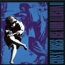Guns N' Roses Use Your Illusion 2 remastered 180gm vinyl 2 LP DINGED/CREASED SLEEVE