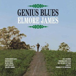 Elmore James Genius Blues vinyl LP