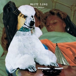 White Lung Deep Fantasy vinyl LP 