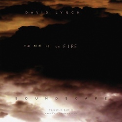 David Lynch Air Is On Fire RSD exclusive vinyl LP