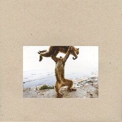 Shellac Dude Incredible vinyl LP 
