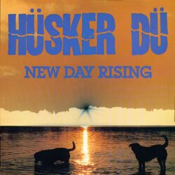 Husker Du New Day Rising Repress vinyl LP