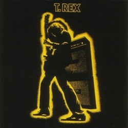 T. Rex Electric Warrior 180gm vinyl LP + download