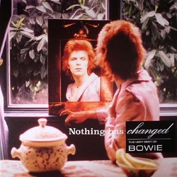 David Bowie Nothing Has Changed vinyl 2 LP gatefold sleeve