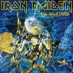 Iron Maiden Live After Death remastered 180gm vinyl 2 LP gatefold