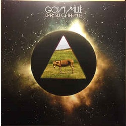 Govt Mule Dark Side Of The Mule 180gm 2 LP + download 