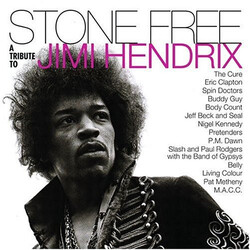 Various Stone Free (A Tribute To Jimi Hendrix) Vinyl 2 LP