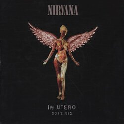 Nirvana In Utero RSD Mix gatefold 180gm vinyl 2 LP + download