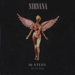 Nirvana In Utero RSD Mix gatefold 180gm vinyl 2 LP + download
