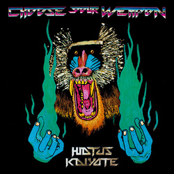 Hiatus Kaiyote Choose Your Weapon MOV 180gm vinyl 2 LP + download