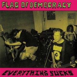 Flag Of Democracy Everything Sucks RSD limited vinyl LP 