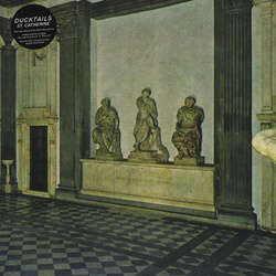 Ducktails St. Catherine vinyl LP