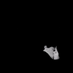 Bob Moses Days Gone By limited silver 180g vinyl 2 LP + download