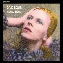 David Bowie Hunky Dory remastered 180gm reissue vinyl LP