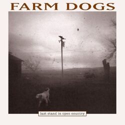 The Farm Dogs Last Stand In Open Country BLACK VINYL 2LP RSD 2024 [update 24/2/24]