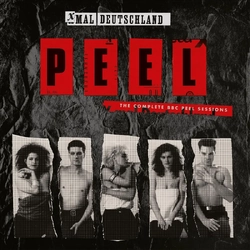 Xmal Deutschland Peel Sessions VINYL 2LP - COLOURED SILVER RSD 2026