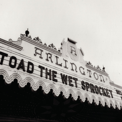 Toad The Wet Sprocket Welcome Home: Live At The Arlington Theatre Santa Barbara 1992 VINYL 2 LP RSD 2025