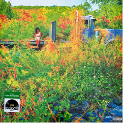 Jhene Aiko Trip VINYL 2LP PICTURE DISC RSD 2026