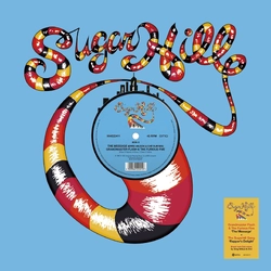 Sugarhill Gang Rapper's Delight DUB/The Message DUB VINYL 12INCH - BLACK RSD 2026 UPDATE 090226