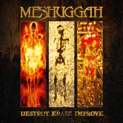 Meshuggah Destroy Erase Improve: 30Th Anniversary Edition VINYL LP - COLOURED SUNFLARE RSD 2026