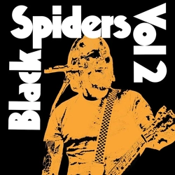 Black Spiders Volume 2 VINYL LP RSD 2025 - UPDATED 9/2/2025 UK