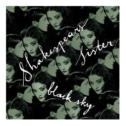 Shakespears Sister Black Sky VINYL 12 INCH RSD 2025 - UPDATED 9/2/2025 UK