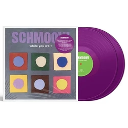 Schmoov While You Wait VINYL 2LP - BLACK RSD 2026 UPDATE 090226