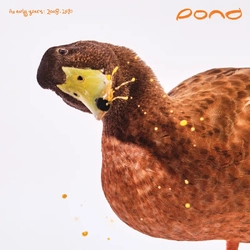 Pond Early Years: 2008 - 2010 180GM VINYL 2 LP RSD 2025