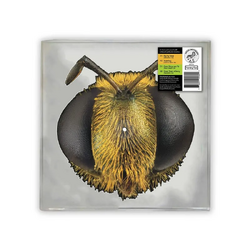 King Gizzard & The Lizard Wizard Big Fig Wasp BEE/BUG SHAPED VINYL RSD 2026