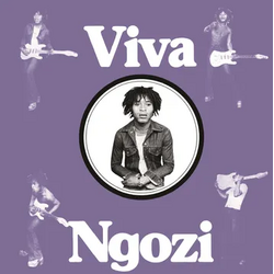 Paul Ngozi Viva Ngozi OPAQUE ORANGE VINYL LP RSD BLACK FRIDAY 2024