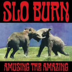 Slo Burn Amusing The Amazing VINYL 12INCH ETCHED B-SIDE BLACK FRIDAY RSD 2025