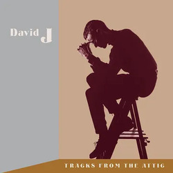 David J Tracks From The Attic VINYL 3LP RSD BLACK FRIDAY 2023