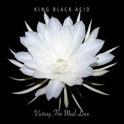 King Black Acid Victory For Mad Love VINYL LP RSD 2024 [update 17/2/24]