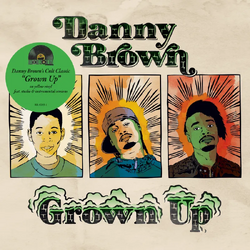 Danny Brown Grown Up VINYL 7INCH RSD 2026