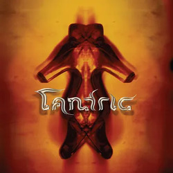 Tantric Tantric LIMITED/ORANGE VINYL LP RSD BLACK FRIDAY 2023