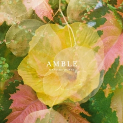 Amble Hand Me Downs VINYL 12INCH RSD 2026