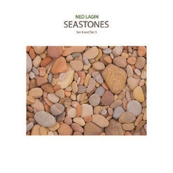 Ned Lagin Seastones Set 4 and Set 5 Vinyl LP