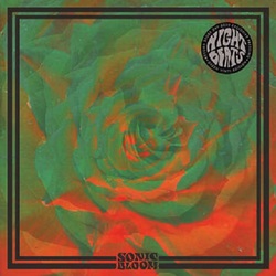 Night Beats Sonic Bloom Vinyl LP